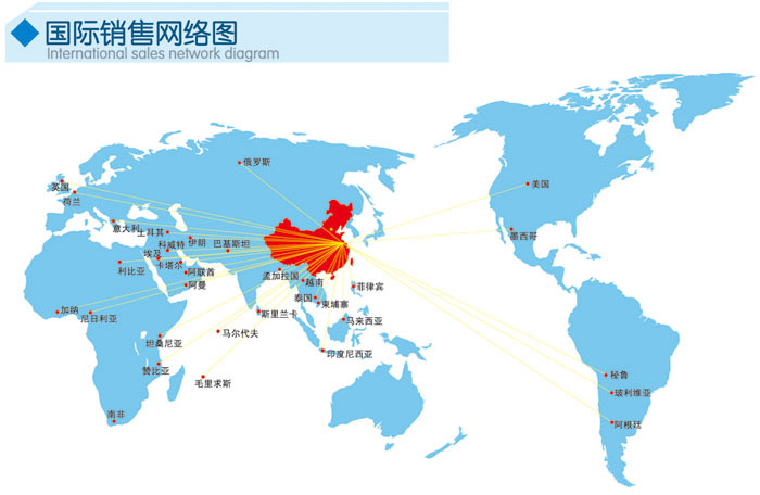 国际营销网络